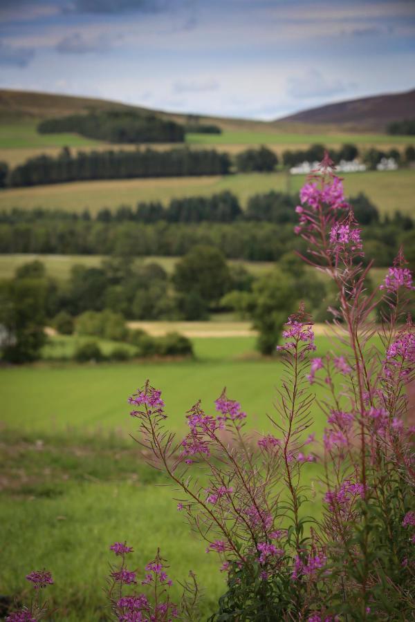 Clova Pod, Kilry Eco Pods Hotel Blairgowrie and Rattray Luaran gambar